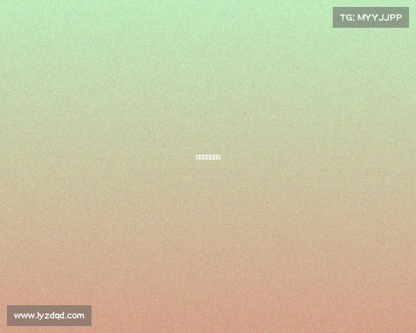 英文解说员翻译